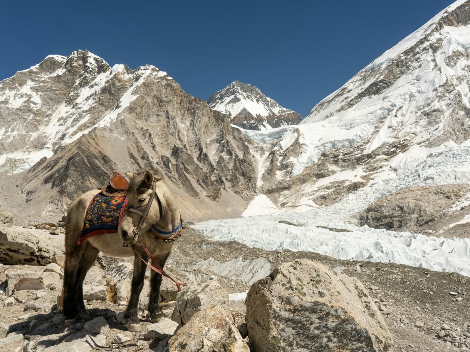 Everest Base Camp vs Annapurna Circuit — Which Should You Do?